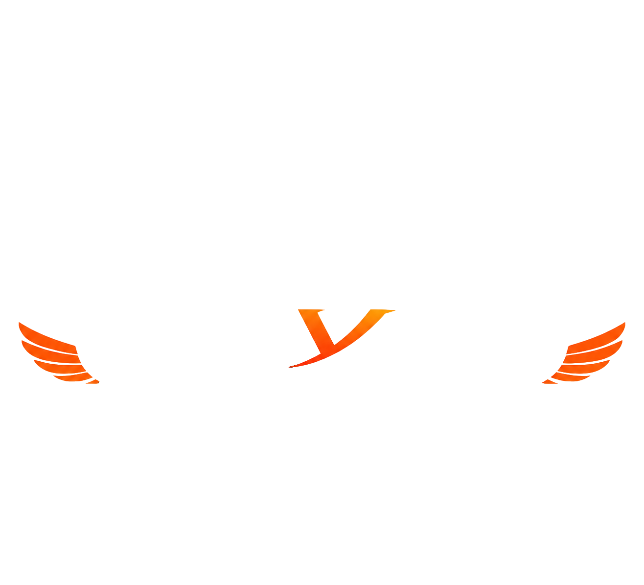 AeroVista Studio